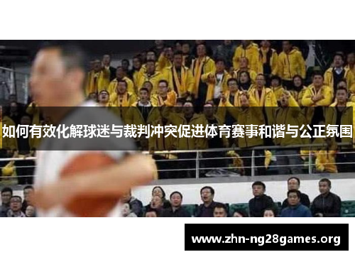 如何有效化解球迷与裁判冲突促进体育赛事和谐与公正氛围