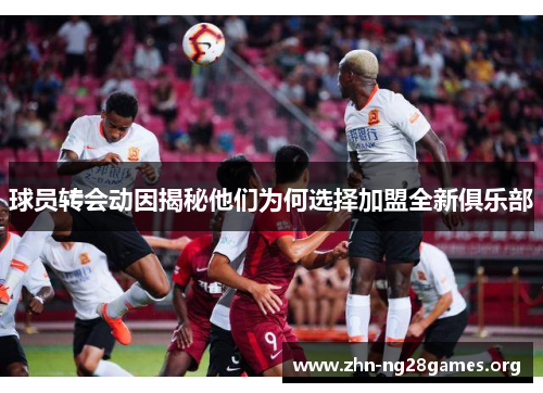 球员转会动因揭秘他们为何选择加盟全新俱乐部
