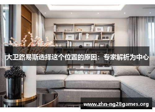 大卫路易斯选择这个位置的原因:专家解析为中心 大卫路易斯选择这个位置的原因:专家解析为中心